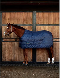 Weatherbeeta Comfitec Thermi-Heat Unterdecke für Pferde Blau 100g – Bild 1 von 2