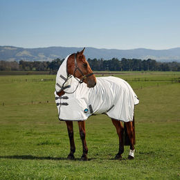 Produktbild von WeatherBeeta Comfitec Tyro Fly Sheet Combo Pferdedecke aus Polyester
