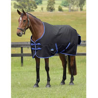 Produktbild von Weatherbeeta Comfitec Tyro Outdoor-Pferdedecke Standard Neck 220g Schwarz 145 cm