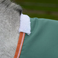 Produktbild von WeatherBeeta Comfitec Tyro Standard Neck Lite Plus Pferdedecke aus Polyester bunt