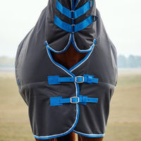 Produktbild von Weatherbeeta Comfitec Tyro Turnout Combo Neck Pferdedecke mit 220g Füllung