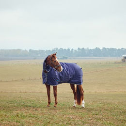 Produktbild von Weatherbeeta Comfitec Tyro Turnout Combo Neck Pferdedecke mit 360g Füllung