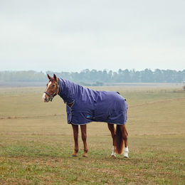 Weatherbeeta Comfitec Tyro Turnout Combo Neck Pferdedecke mit 360g Füllung in Blau – Bild 1 von 6