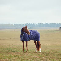 Produktbild von Weatherbeeta Comfitec Tyro Turnout Combo Neck Pferdedecke mit 360g Füllung in Blau