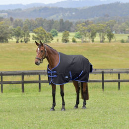Produktbild von WeatherBeeta Comfitec Tyro Turnout Pferdedecke mit Standardhals 220g