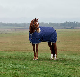 Produktbild von WeatherBeeta Comfitec Tyro Turnout Pferdedecke mit Standardhals Standard 50g