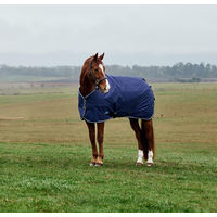 Produktbild von WeatherBeeta Comfitec Tyro Turnout Pferdedecke mit Standardhals Standard 50g