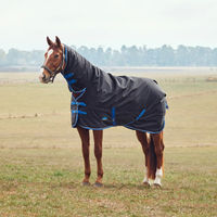 Produktbild von Weatherbeeta Comfitec Tyro wasserdichte Weidedecke für Pferde Schwarz 150 - 200 cm