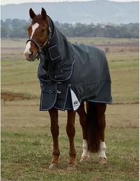 Weatherbeeta Comfitec Ultra Turnout Pferdedecke mit abnehmbarem Hals 100g Grau – Bild 1 von 9
