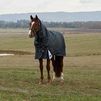 Produktbild von Weatherbeeta Comfitec Ultra Turnout Pferdedecke mit abnehmbarem Halsteil 220g Blau