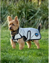 Weatherbeeta Comfitec Wasserdichter Hundemantel mit Reflektoren in Grau und Silber – Bild 1 von 5