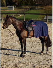 Weatherbeeta Essential Fleece-gefütterte Nierendecke für Pferde Marineblau/Burgunderrot Größe XS – Bild 1 von 7