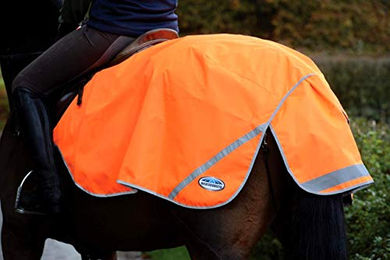 WeatherBeeta Exercise Sheet Pferdedecke aus 300D Polyester in Orange mit Reflektoren Größe S – Bild 1 von 2