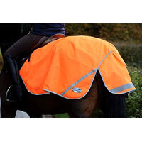 Produktbild von WeatherBeeta Exercise Sheet Pferdedecke aus 300D Polyester in Orange mit Reflektoren Größe S