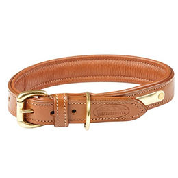 WeatherBeeta Gepolstertes Leder Hundehalsband Braun Größe S – Bild 1 von 5
