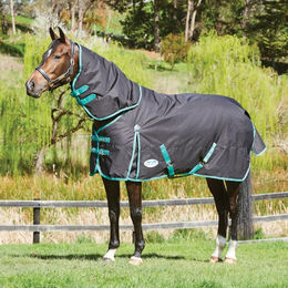 Weatherbeeta Green-Tec 900D Detach-A-Neck Lite Plus Pferdedecke Schwarz Grün - 50 g – Bild 1 von 3