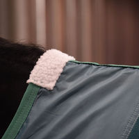 Produktbild von Weatherbeeta Green-Tec Fleece Abschwitzdecke für Pferde in Grün oder Blau