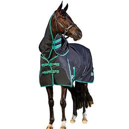 WeatherBeeta Green-Tec Pferdedecke mit abnehmbarem Kragen Schwarz Grün 130cm – Bild 1 von 7