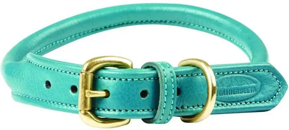 Weatherbeeta Hundehalsband aus Leder in Türkis Größe XS – Bild 1 von 4