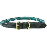Produktbild von Weatherbeeta Hundehalsband aus Leder und Seil Grün/Braun Größe M