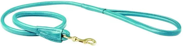 Weatherbeeta Hundeleine aus Leder in Türkis Größe M – Bild 1 von 2