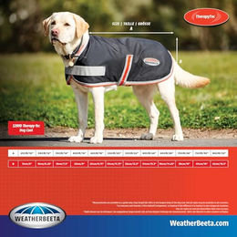 WeatherBeeta Hundemantel ComFiTec 1200D Therapy-Tec Weiß-Silber 35 cm zur Unterstützung der Gelenke – Bild 1 von 2