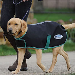 Weatherbeeta Hundemantel Green-Tec 900D aus Polyester Schwarz-Grün 25cm – Bild 1 von 8