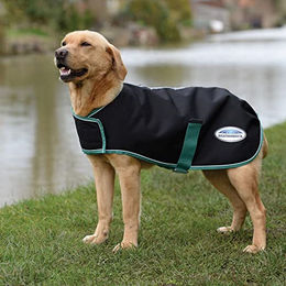 Weatherbeeta Hundemantel Green-Tec 900D Schwarz-Grün 30 cm – Bild 1 von 5