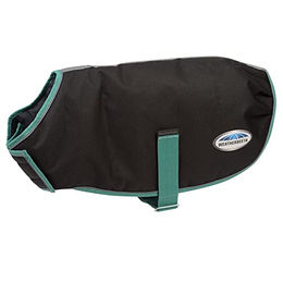 Weatherbeeta Hundemantel Green-Tec 900D Waterproof Schwarz-Grün 25cm – Bild 1 von 8