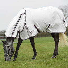 Weatherbeeta Hybrid Seasons Combo-Kragen Fliegenschutz Pferdedecke mit Kombi-Kragen Weiß/Weinrot 213cm – Bild 1 von 3