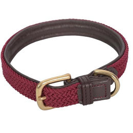Weatherbeeta Leder Hundehalsband geflochten Braun Rot Größe XS Mini – Bild 1 von 4