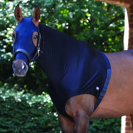 Weatherbeeta Lycra Stretch Hood für Ponys mit Reißverschluss Schwarz – Bild 1 von 4