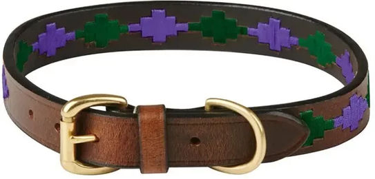 Weatherbeeta Polo Hundehalsband aus Leder in Braun Lila Blau Größe M - 1 Stk. – Bild 1 von 7