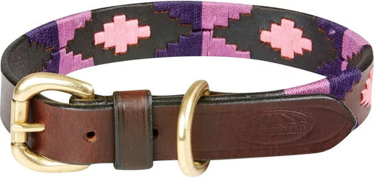 Weatherbeeta Polo Hundehalsband aus Leder in Braun oder Bunt Größe XS – Bild 1 von 1