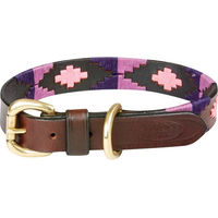 Produktbild von Weatherbeeta Polo Hundehalsband aus Leder in Braun und Bunt Größe S