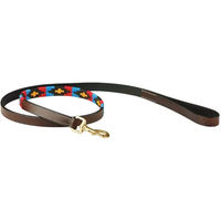 Produktbild von Weatherbeeta Polo Hundeleine aus Leder in verschiedenen Farben