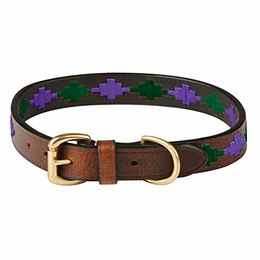 WeatherBeeta Polo Leder Hundehalsband Beaufort Braun Lila Blaugrün Größe S – Bild 1 von 8