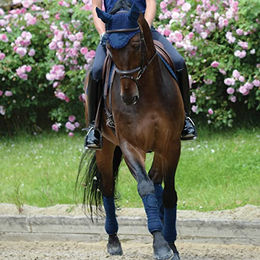 Weatherbeeta Prime Jump Sattelunterlage für Ponys aus Baumwolle Schwarz – Bild 1 von 2