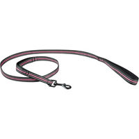 Produktbild von Weatherbeeta Reflektierende Hundeleine aus Nylon in Schwarz/Pink Größe M - 1 Stk.