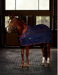 Weatherbeeta Scrim Cooler Standard Neck Trocknende Pferdedecke – Bild 1 von 2