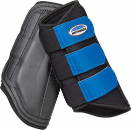 Weatherbeeta Single Lock Gamaschen aus Neopren für Warmblut in Schwarz Blau – Bild 1 von 2