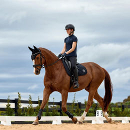 Weatherbeeta Softshell Pro 3D Air-Tec Dressage Sattelunterlage S/M – Bild 1 von 8