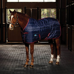 WeatherBeeta Stable Rug Pferdedecke 100g Größe 105 – Bild 1 von 1