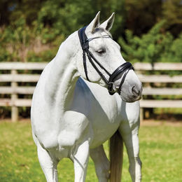 Weatherbeeta Therapy-Tec Anatomischer Trensenzaum aus Neopren Schwarz Größe L – Bild 1 von 2