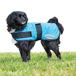 Weatherbeeta Therapy Tec Cooling Hundejacke Blau 35cm – Bild 1 von 2