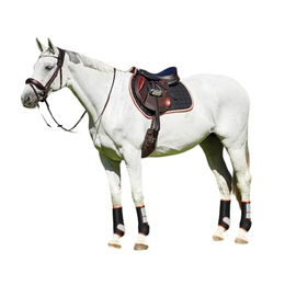 Weatherbeeta Therapy Tec GP Schabracke für Ponys Schwarz Silber Rot – Bild 1 von 2