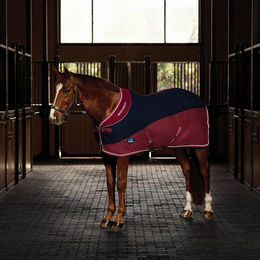 Produktbild von Weatherbeeta Thermo-Air Abschwitzdecke Standard für Pferde