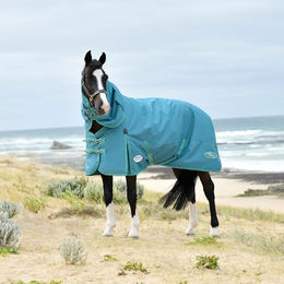 Weatherbeeta Turnout Rug Neck Lite Plus Pferdedecke aus 1200D Polyester in Dragonfly Blue und Bottle Green – Bild 1 von 6