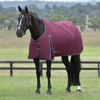 Produktbild von WeatherBeeta Weidedecke Comfitec Essential Turnout 360g für Pferde Größe 125 Burgundy/Navy