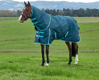 WeatherBeeta Weidedecke Comfitec Limited Edition Turnout Detach-A-Neck 220g Größe 135 – Bild 1 von 1